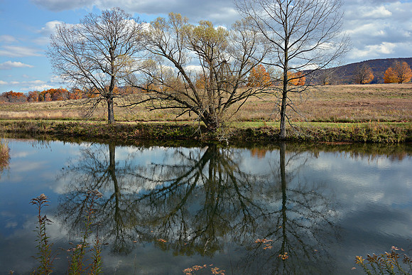 Reflections at Storm King